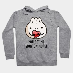 You Got Me Wonton More Cure Wonton Pun Hoodie